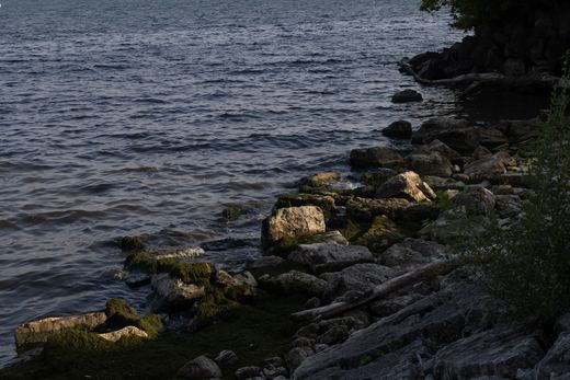 Waterbank landscape